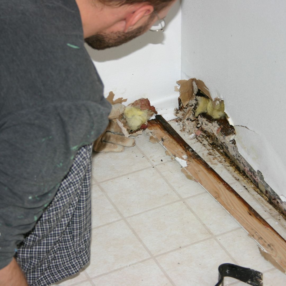drywall repair and painting services by handyman services bethesda 