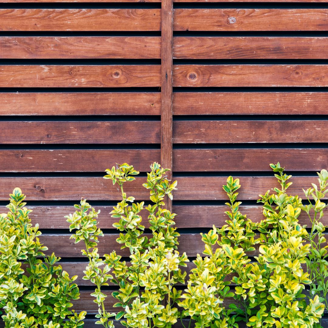 Types of Fence Installation Near Me