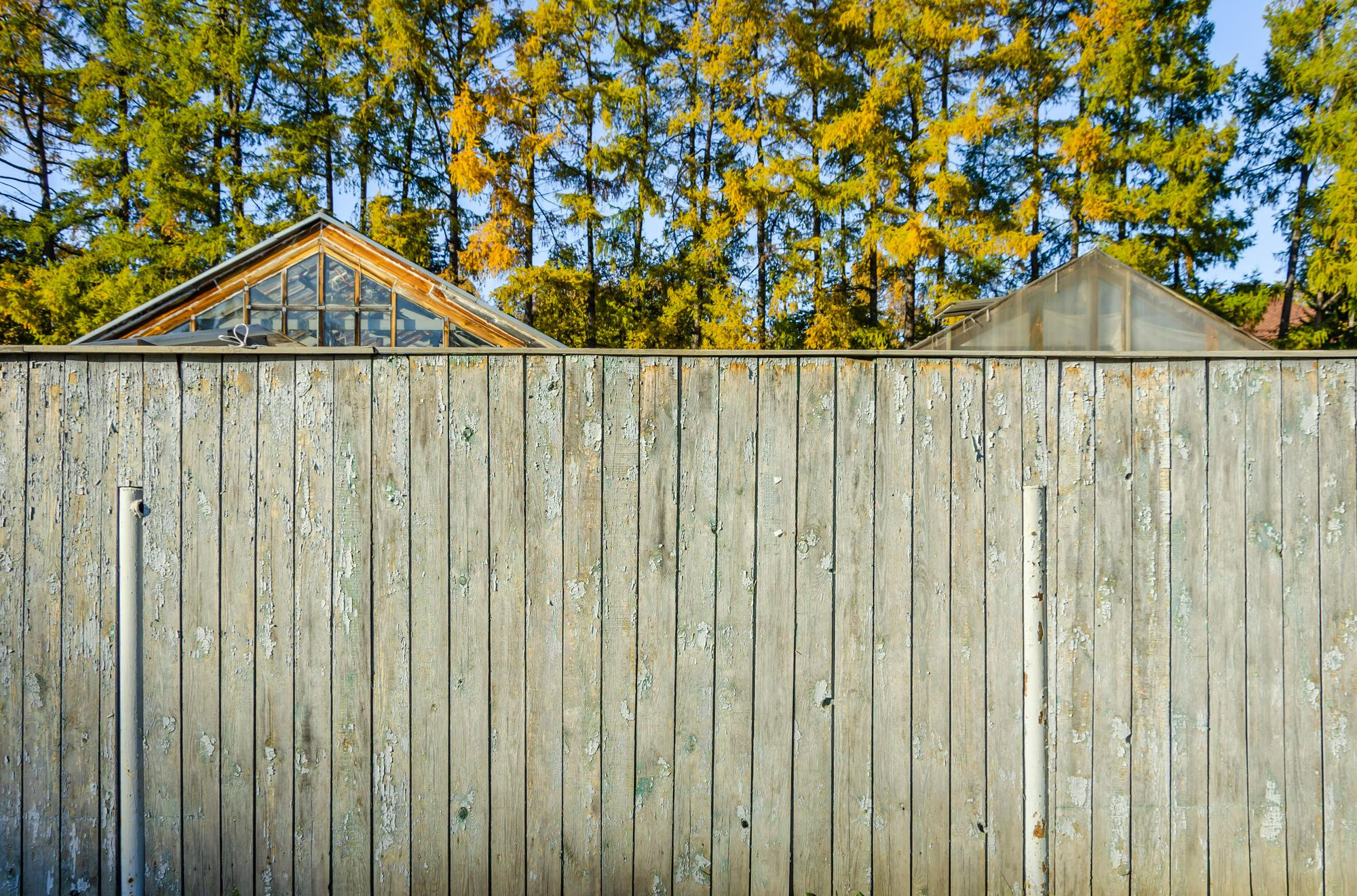 Get Best Fence contractors at Great Price